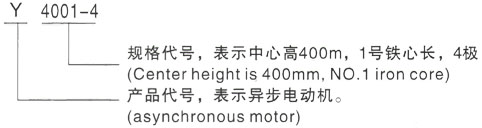 西安泰富西玛Y系列(H355-1000)高压湖滨三相异步电机型号说明